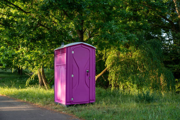 Best Sanitation services for porta potties  in Paincourtville, LA